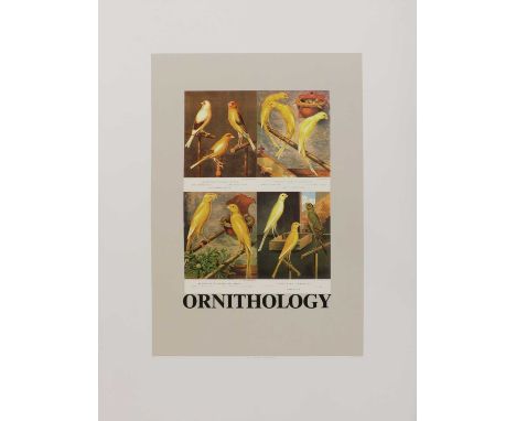 *Sir Peter Blake RA (b.1932) 'O is for Ornithology' screenprint in colours, 1991, signed, inscribed with title and numbered 6