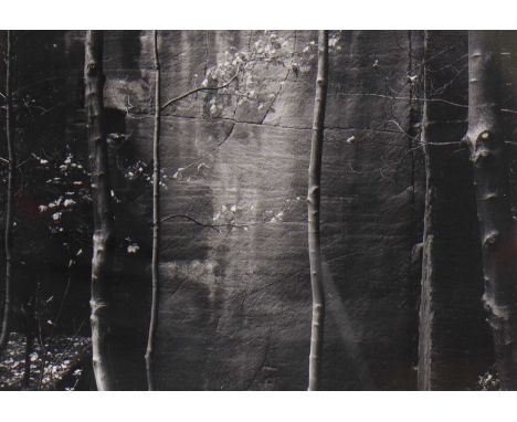 Thomas Joshua Cooper (American, b.1946) 'Ceremonial Veil, Nesscliffe, Shropshire, England', 1976 gelatin silver print, titled
