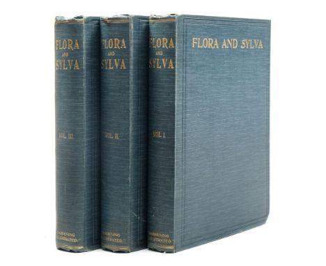 ROBINSON, W ... [edit] - Flora and Sylva : 3 vols, chromo-lithograph plates, org. cloth, folio, 1903-05.