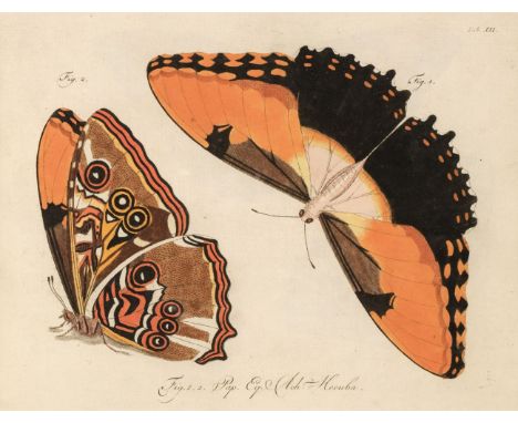 [Jablonsky, Carl Gustav &amp; J.F.W. Herbst]. [Natursystem aller Bekannten in- und Auslandischen Insekten... der Scmetterling