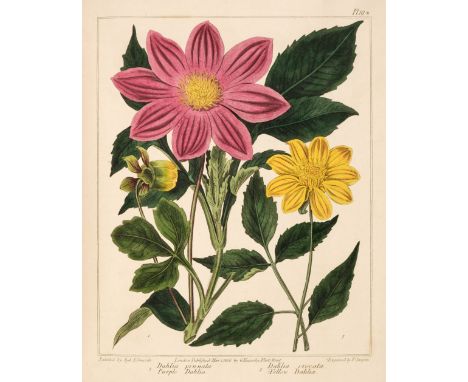 Edwards (Sydenham). The New Botanic Garden, illustrated with one hundred and thirty-three plants, 2 volumes, 1st edition, Lon