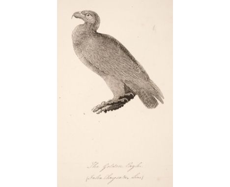 Bewick (Thomas). British Land Birds/British Water Birds/The Figures of Bewick's Quadrupeds, 3 volumes, Newcastle: printed by 