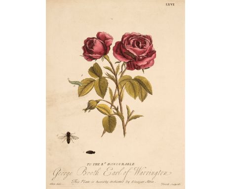 Albin (Eleazar). A Natural History of English Insects..., 1724, lacking title page and replaced in manuscript, 23 near-contem
