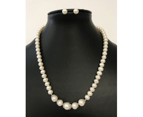 A string of white freshwater pearls with 925 silver decorative clasp together with a pair of white freshwater pearl stud earr