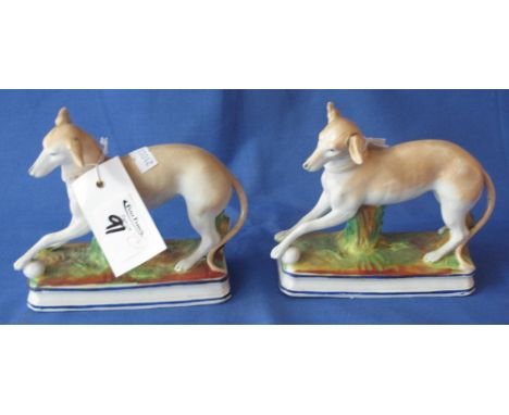 Two 19th Century Staffordshire porcelainious figures of greyhounds playing with balls on rectangular naturalistic bases. (2) 