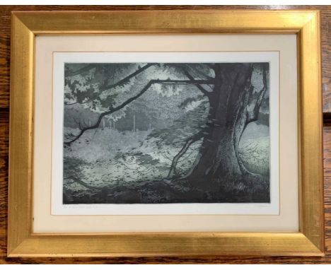 C.Bygrave (British, contemporary), "Tree in Sheringham Park", artist proof aquatint, signed and titled to plate margin, 44x32