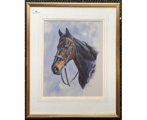 Roger Kent (British, 20th /21st century), Bust portrait of a horse, watercolour wash and gouache, signed, 36x28cm, framed and