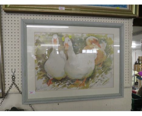 FRAMED AND GLAZED COLOURED PRINT OF DUCKS.