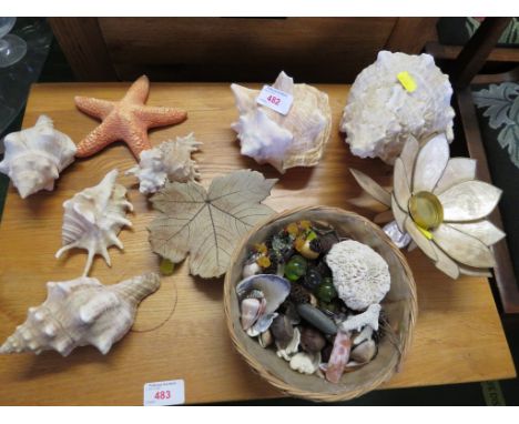 SELECTION OF SEA SHELLS, TEA LIGHT HOLDER AND OTHER ITEMS.