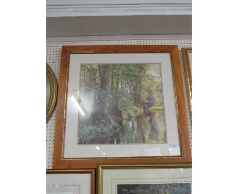 FRAMED AND GLAZED COLOURED PRINT OF WOODLAND.