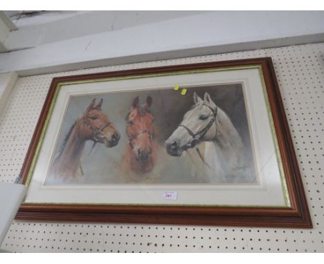 FRAMED AND GLAZED COLOURED PRINT AFTER S L CRAWFORD 'DESERT ORCHID'