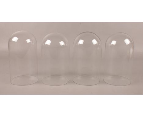 Four glass clock/taxidermy domes. (Approximately 18cm and 19cm).  