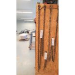 HD 17 ft. Chain w/ (2) Hooks