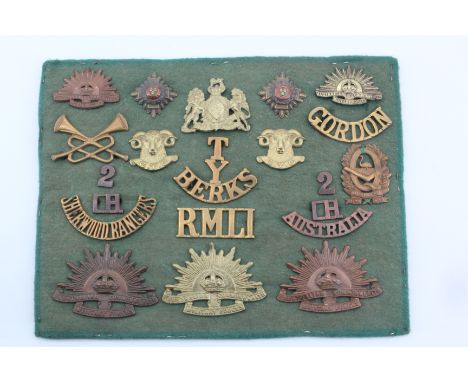 A mounted group of Commonwealth and other cap badges etc, including New Zealand 1st (Canterbury Yeomanry Cavalry) collar badg