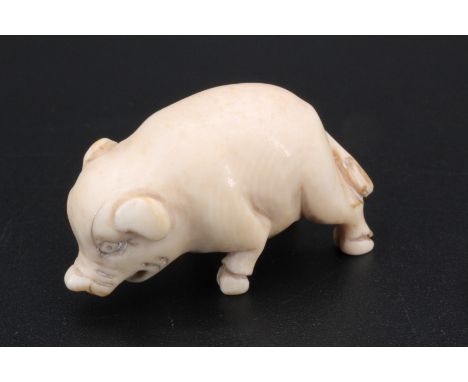 A Japanese ivory netsuke of a pig, 3.5 cm