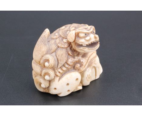 A Japanese ivory netsuke of a ShiShi, 5 cm