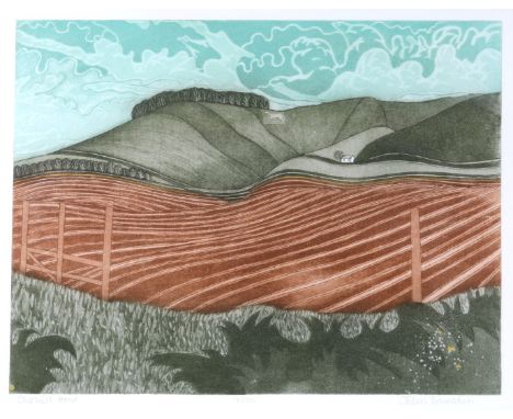 JOHN BRUNSDON (b. 1933) 'Chohill Horse', etching with aquatint in colours, pencil signed in the margin, titled and numbered 1