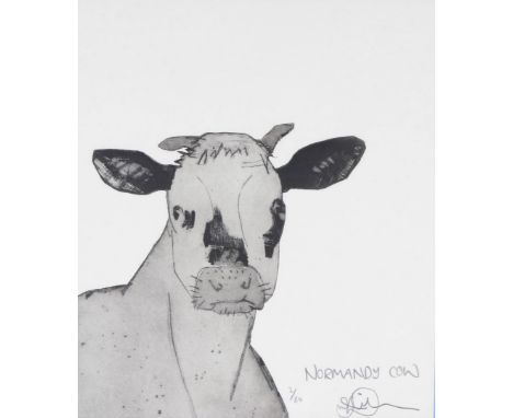JULIAN WILLIAMS (CONTEMPORARY) Normandy Cow, 2/60, signed, numbered and titled in pencil, etching, 44.5 x 38cm.