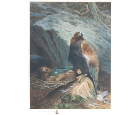 T. HAMILTON CRAWFORD AFTER ARCHIBALD THORBURN Two golden eagles, one perched on a rock, mezzotint, signed in pencil to the ma