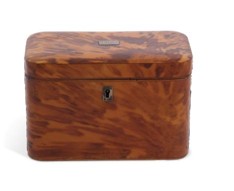 A Georgian tortoiseshell mounted tea caddy of rectangular form, hinged lid opening to an interior with two covered sections, 