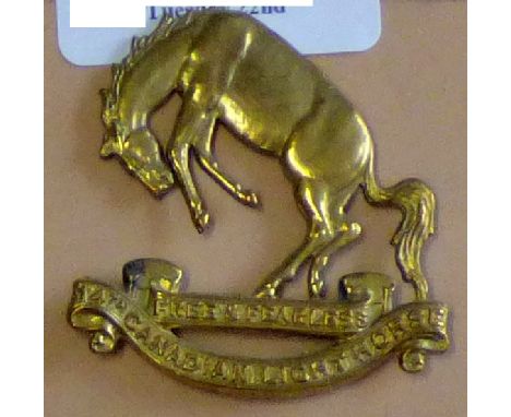 Canada - Canadian Light Horse Cap badge - Brass (14.5mm)