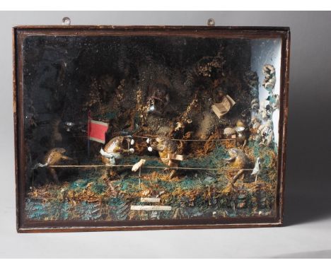 A 19th century cased preserved toad boxing match, with nine toads, boxing ring, trophies etc in glazed fronted case, 18" wide