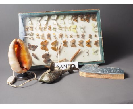 A case of taxidermy butterflies, a carved shell table lamp, a door knocker formed as a fish, two door handles, a printing blo