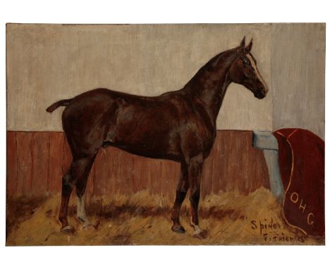 GEORGE PAICE (1854-1925) 'Spider' Portrait of a horse in stable, sgined, titled and indistincly dated lower right, oil on can