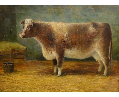 Johnson Hedley (British 1848-1914): Portrait of a Shorthorn Cow in Stable setting, oil on canvas signed 49cm x 67cm Condition