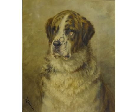 Frances C Fairman (British 1836-1923): Portrait of a St. Bernard Dog, watercolour signed 54cm x 45cm Condition Report Very go