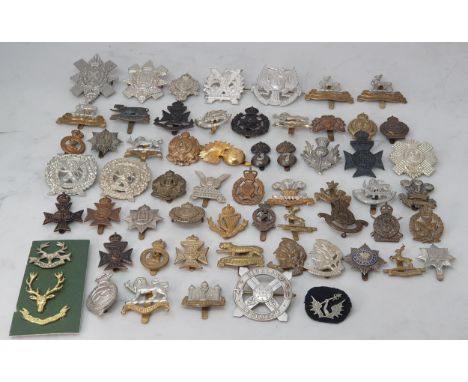 A collection of Territorial Army Cap Badges 