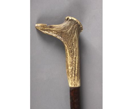 A walking stick circa 1900. Carved fruit wood shaft and a horn handle carved in a shape of a whistle, 95,5 cm. long.