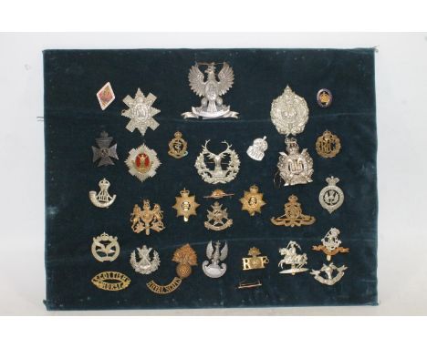 Board of military cap badges, shoulder titles and buttons to include Kings Own Scottish Borderers, Royal Artillery, Argyll an