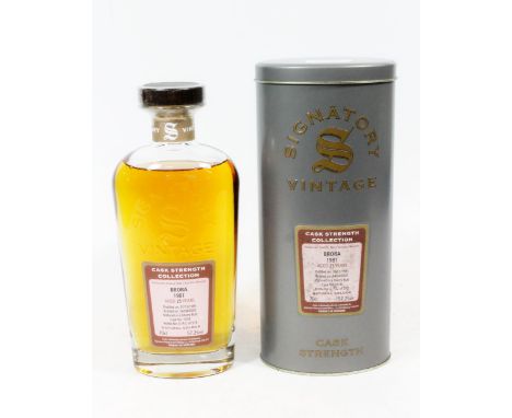 BRORA 1981 25 year old Highland single malt Scotch whisky, distilled 1/12/1981, bottled 24/04/2007, from a sherry butt cask n