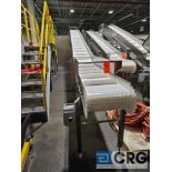 Shibuya Hoppman Conveyor System