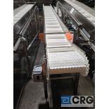 Shibuya Hoppman Conveyor System