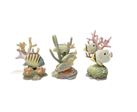 Collection of six Royal Worcester ornaments of tropical fish, modelled by R. Van Ruyckwilt: Red Hind 3572, Four Eyed Fish 357