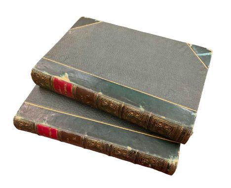 Samuel White Baker - The Albert N'Yanza, Great Basin of the Nile and Explorations of the Nile Sources, 2 volumes, 1st edition