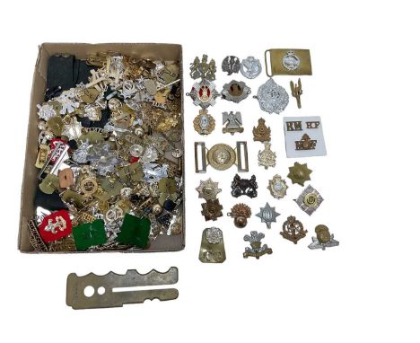 Collection of British military cap badges, (mainly staybrite), together with side cap and brass button polisher (1 box).