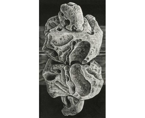 Φ Monica Poole RE (1921-2003)Mirror ImageSigned, numbered and inscribed Mirror Image 10/100 Monica Poole (in pencil to margin