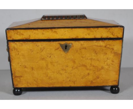 Regency sarcophagus tea caddy with Burr maple and ebony sarcophagus, twin lidded interior, Lion mask handles,23 wide x 15.5 h