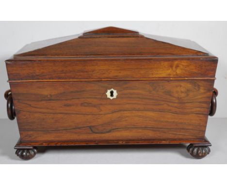 Regency Brazilian rosewood tea caddy with three section interior with sarcophagus shaped ebony canisters, rosewood ring handl