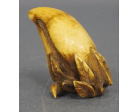 Antique Japanese ivory peach netsuke L5cm approx,C:1900. May not be exported without CITES documentation.