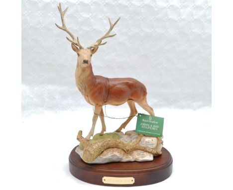 Royal Doulton ceramic animal sculpture of 'The Majestic Stag' with original plaque. No obvious signs of damage. Measuring 40c