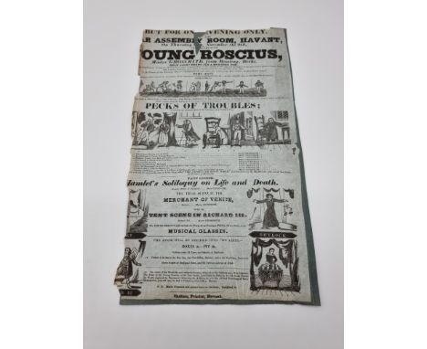 PLAYBILL, HAVANT PRINTING, SKELTON:&nbsp;rare playbill advertising 'The Celebrated Young Roscius, Master Grossmith, from Read