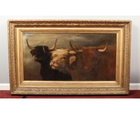 Joseph Denovan Adam R.S.A., R.S.W. (Scottish 1842-1896) large gilt framed oil on canvas. Portrait of three highland bulls. Si