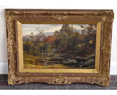 LATE 19TH CENTURY ENGLISH SCHOOL; oil on canvas, woodland landscape with stream, indistinctly signed lower left, 30 x 45cm.Ad
