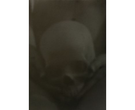 Various ArtistsLA PLEIADE;SKULL;A NOD’S AS GOOD AS A WINKTwo lithographs and one photographic print in colours, 2006, by Don 