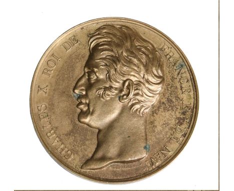 Antarctic, Charles X, Dumont d'Urville's Voyage of the Corvette Astrolabe to New Zealand and the Antarctic, 1826. 50 mm bronz