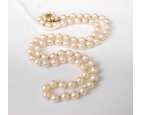 A knotted cultured pearl single string necklace, having 9ct gold seed pearl and green peridot set clasp, 48cm